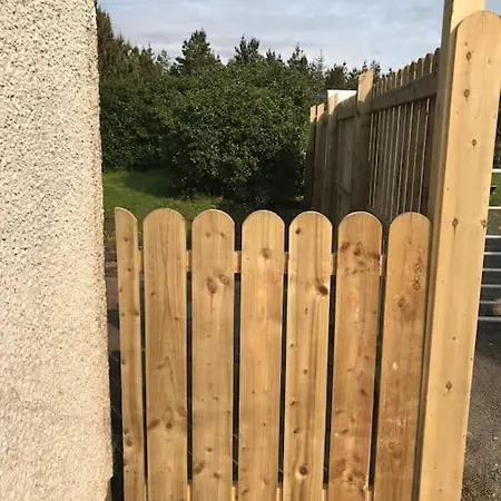 Rosie's Pad